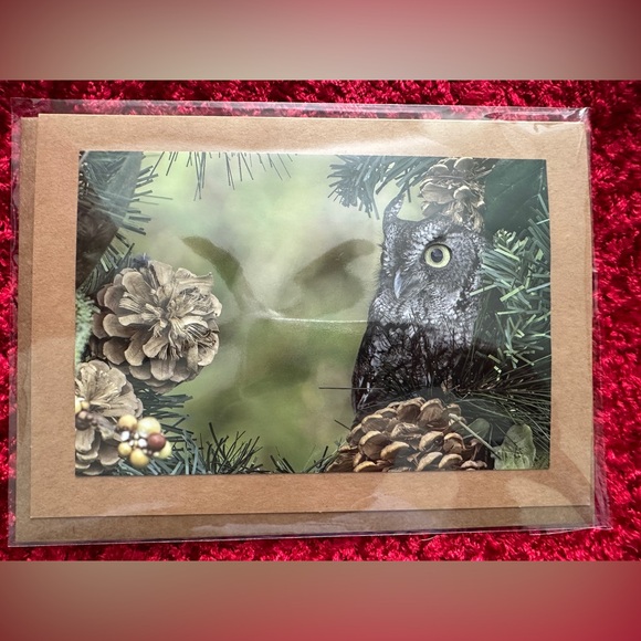 Set of 6 - Handcrafted Holiday Photo Greeting Card - Screech Owl in Wreath - Picture 1 of 3